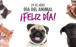 29 de Abril: es el Día del Animal en la Argentina