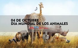 04 de Octubre: hoy es el Día Mundial de los Animales