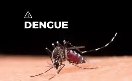 Dengue: casi 400 mil casos reportados y 280 muertos desde fines de julio de 2023